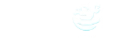 Shinobi Security